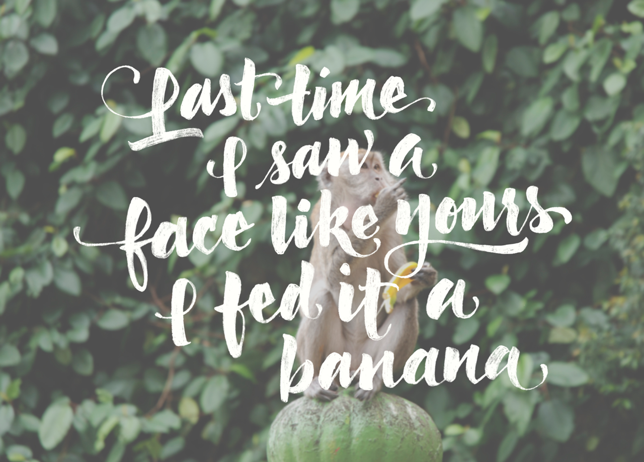 Banana - 30 Days of Insults