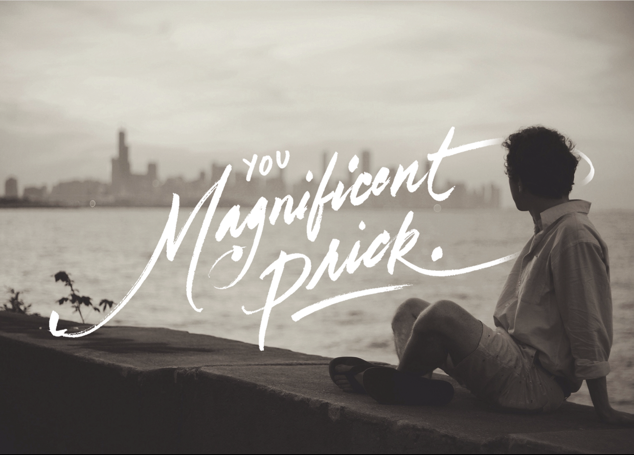 Magnificent Prick - 30 Days of Insults