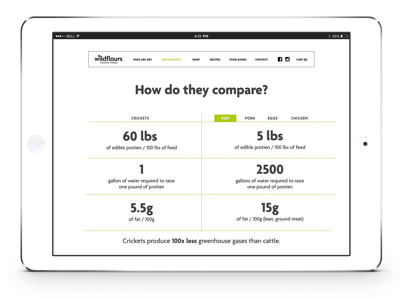 Wildflours Website